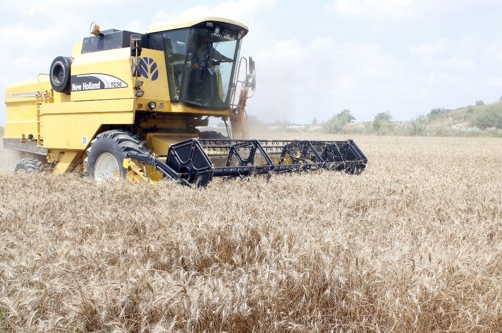 Antalya’da ANTBRİLİK buğday alım fiyatını açıkladı