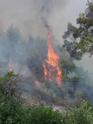 Antalya’da dünyaca ünlü şelalenin yakınında çıkan orman yangını söndürüldü