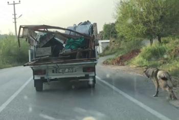Antalya’da köpeği iple kamyonetin arkasına bağlayıp sürükledi