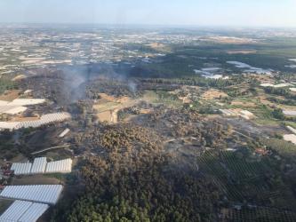 Antalya’daki orman yangınıyla ilgili açıklama