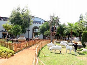 Manavgat kent müzesi açılıyor