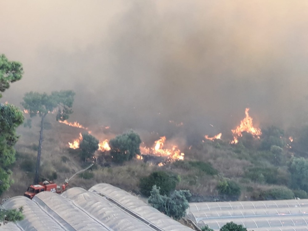 Kumluca’da orman yangınında seralar zarar gördü