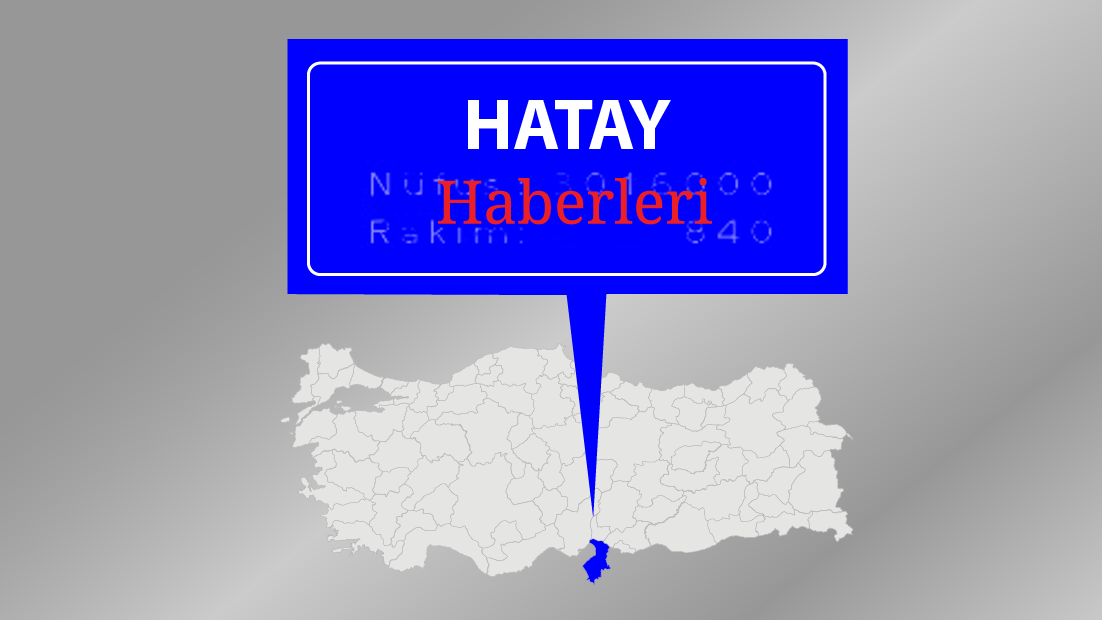 Hatay’da kaçak 6 bin paket elektronik sigara kartuşu ele geçirildi