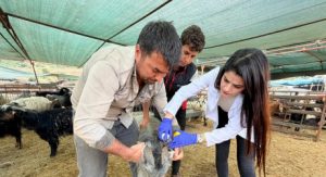 Kepez’de kurban satış ve kesim yerleri denetim altında